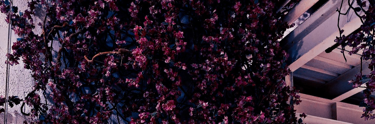 amerAlmhene's profile banner image
