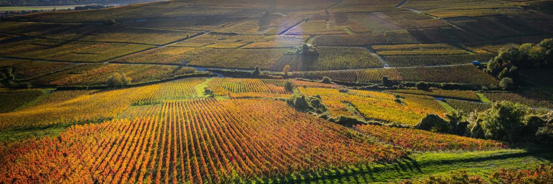 Frédéric GOULET banner