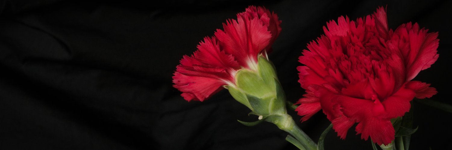 hexadecimaaal's profile banner image
