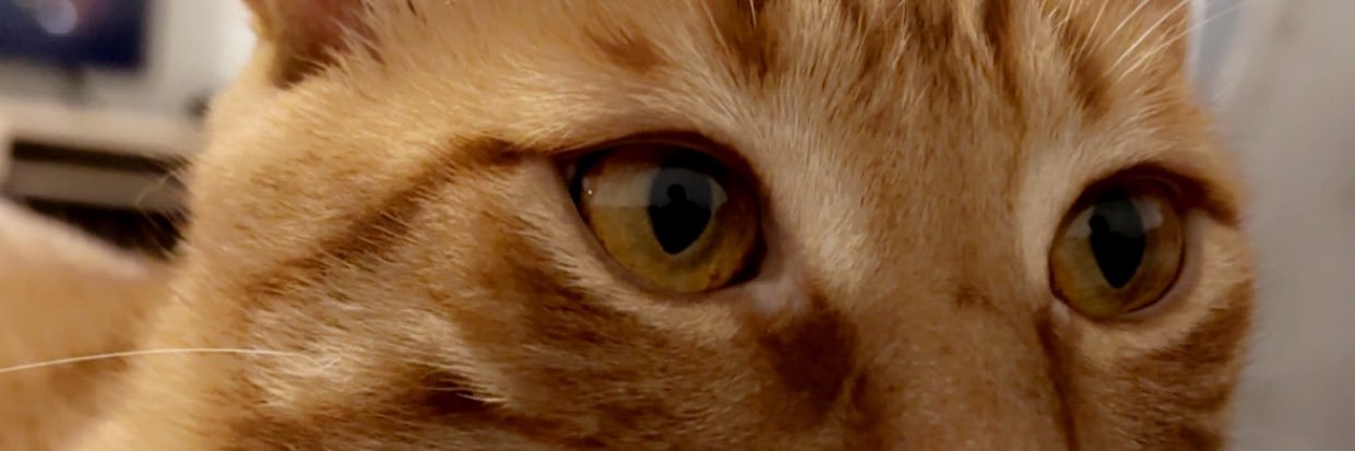 Celiaaadbs's profile banner image