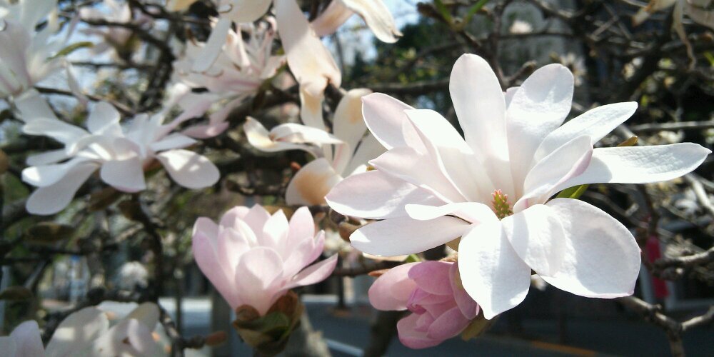 to_m_0's profile banner image