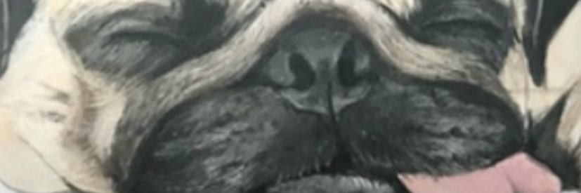 おい、大将！@90年代の風🌻🐶🔥 banner