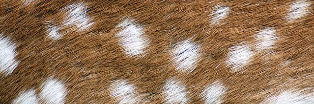 mondaysblue_'s profile banner image