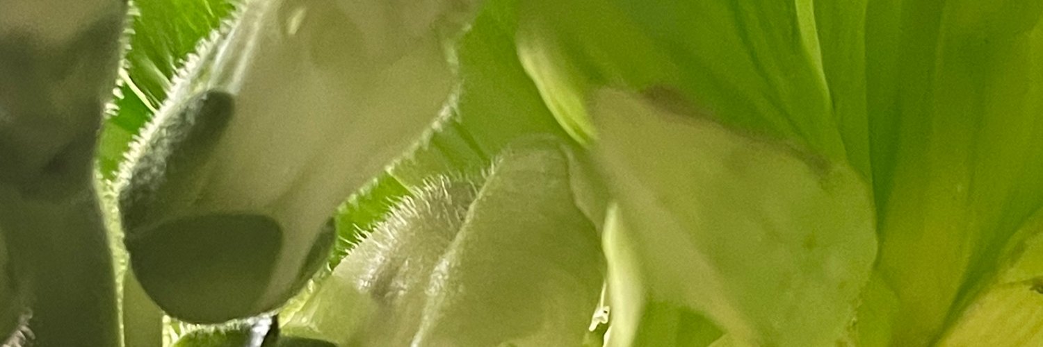 joannkc banner