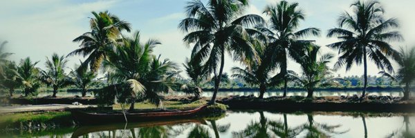 ElonUncleSays Profile Banner