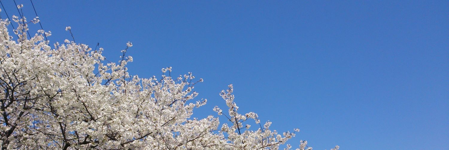 D51M's profile banner image