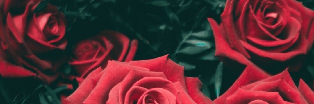 hsjkhsjk's profile banner image