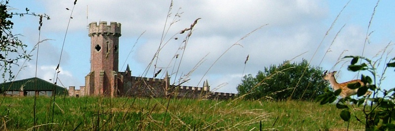 Mir 💙 🇪🇺🇺🇦 💛 banner