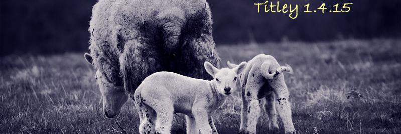 SteveMayPhoto banner
