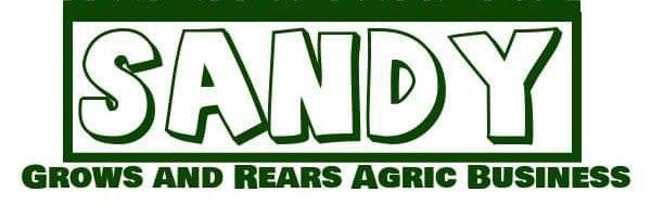 realmadasandy's profile banner image
