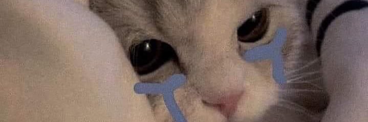 ldzo_0z's profile banner image