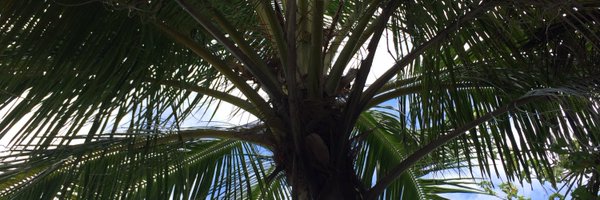 aruhamm Profile Banner