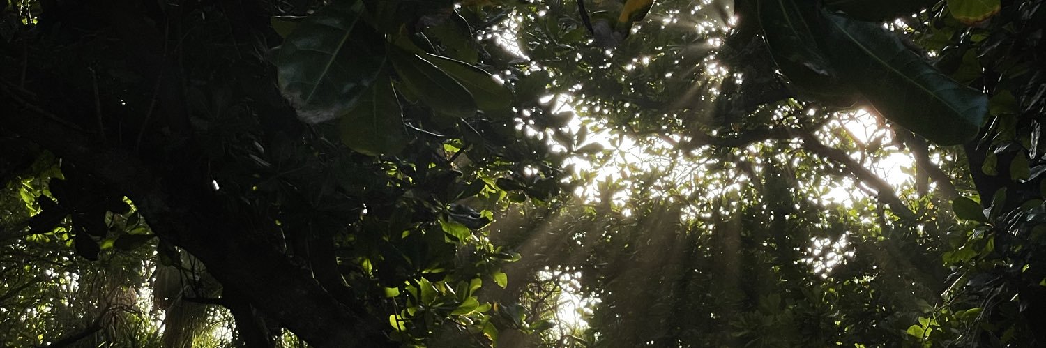 Mohamed Aruham #boleh banner