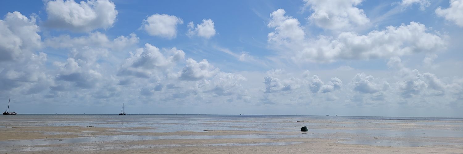 carboonstra's profile banner image