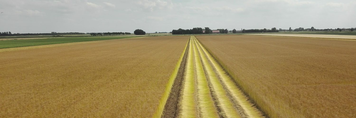 Timmers Agro Service banner