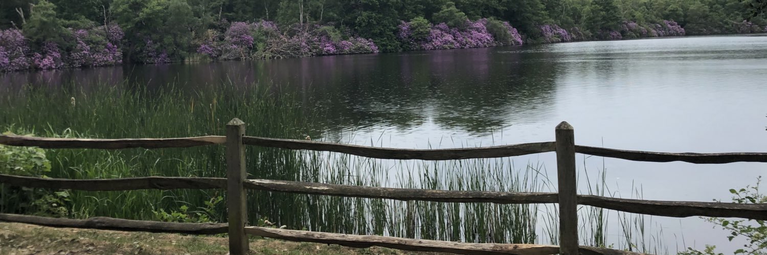 claire mcillroy banner