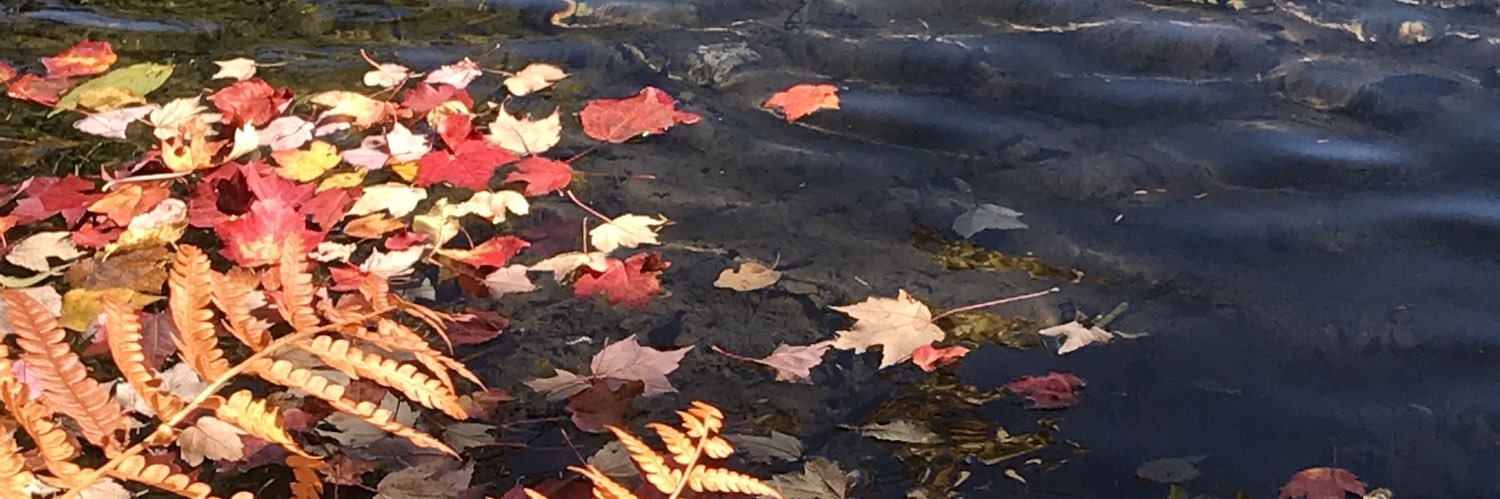 pot_cracked's profile banner image