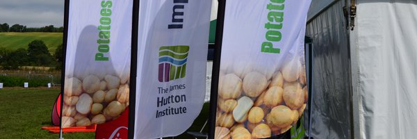 PotatoHutton Profile Banner