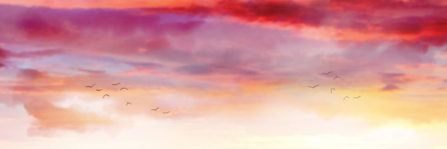 kitonesu's profile banner image