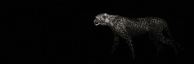 ilanasanttos_'s profile banner image