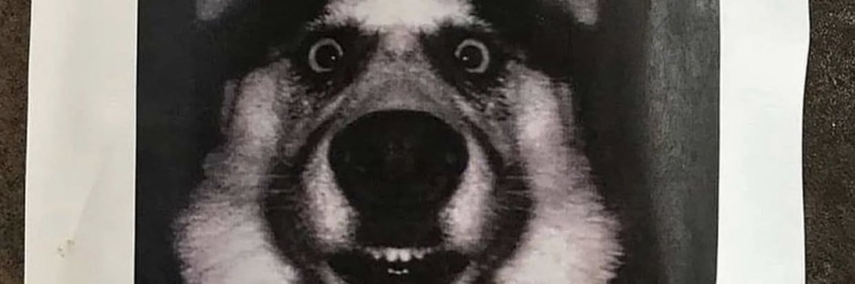 B4rl0's profile banner image