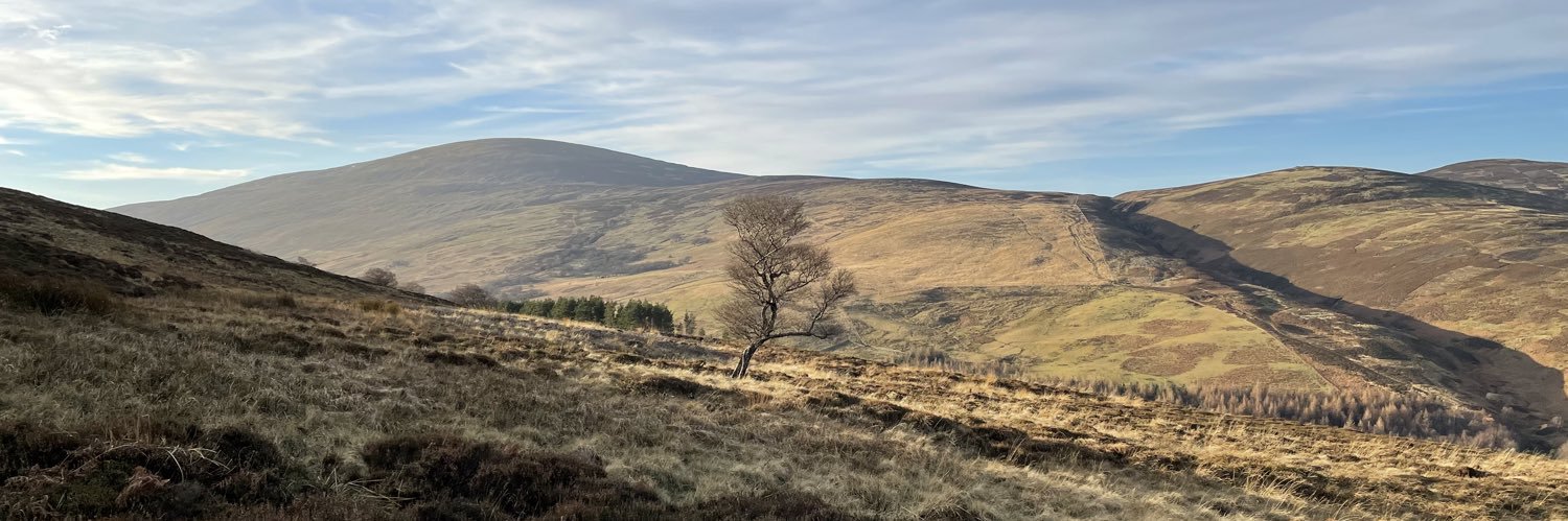 Peter Andrew Storey banner