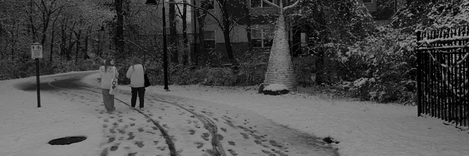 rensatlas_'s profile banner image