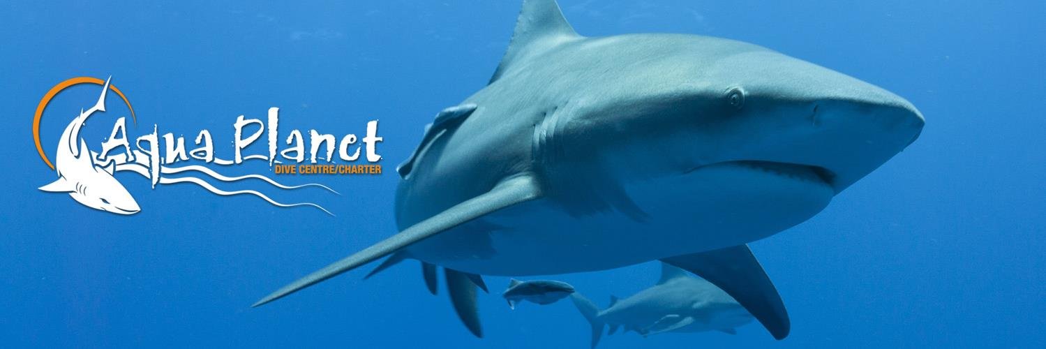 Aqua Planet (@AquaPlanetDive) / Posts / X