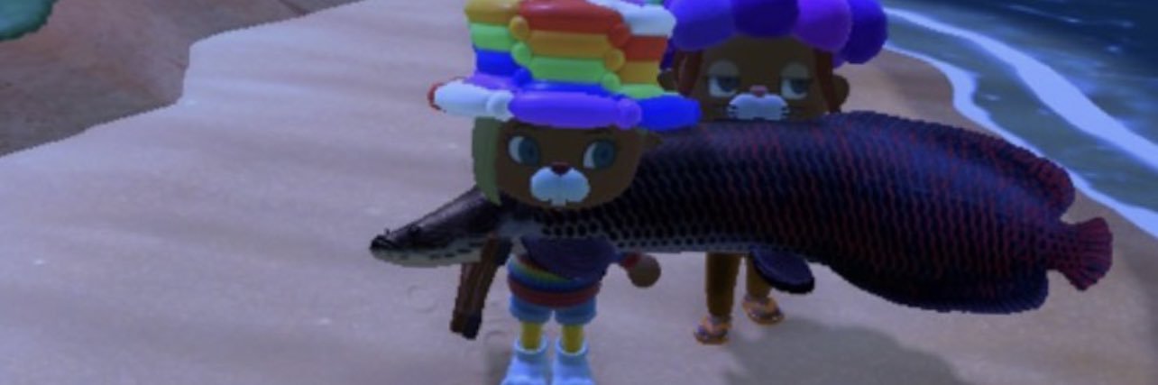 amochitann's profile banner image