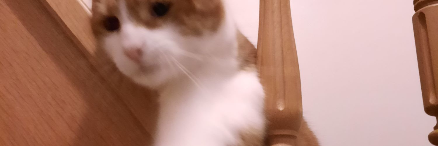 EhrmannEthan's profile banner image