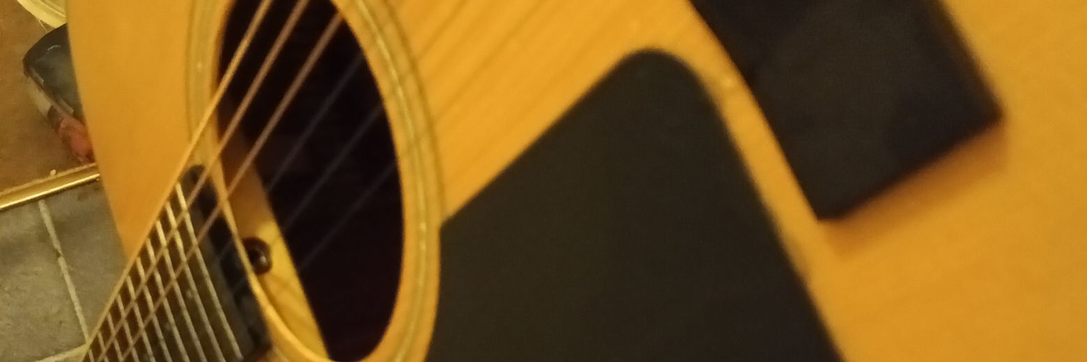 Matt Parr banner