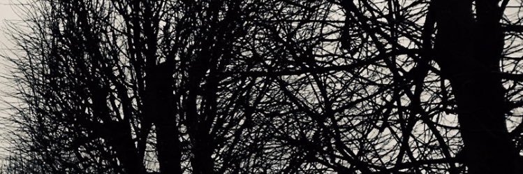renalphys's profile banner image