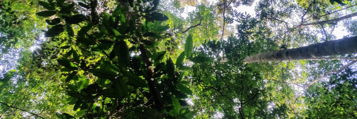 TREES-Research Lab banner