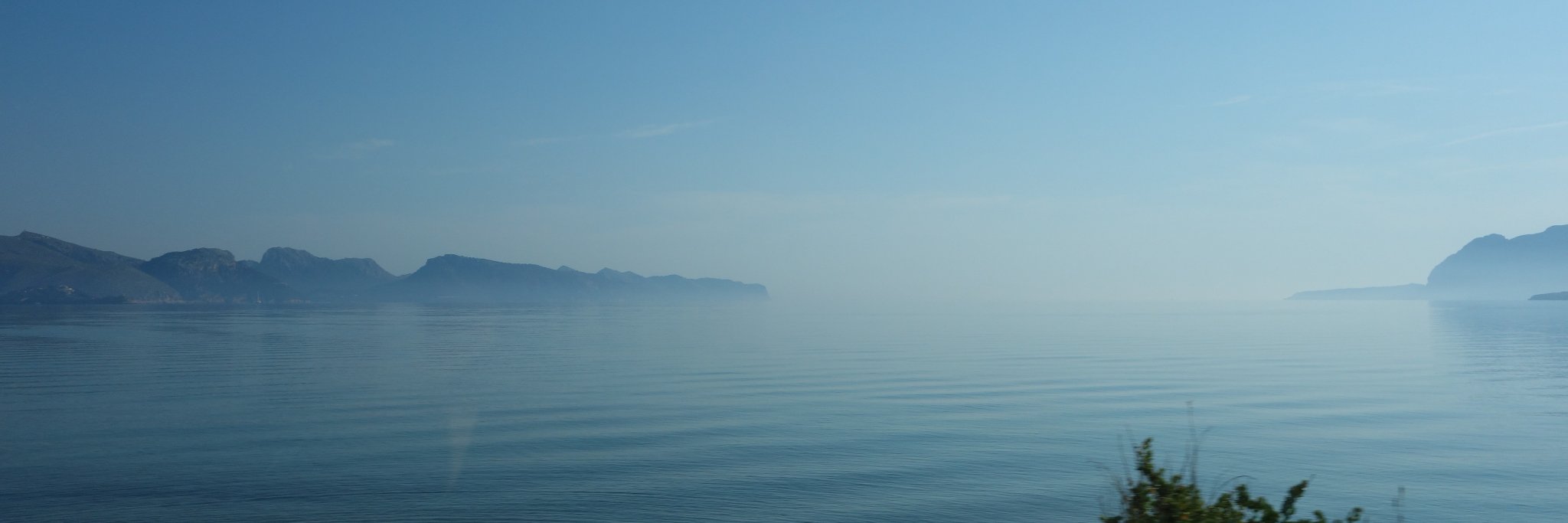 Sandra Liedtke banner