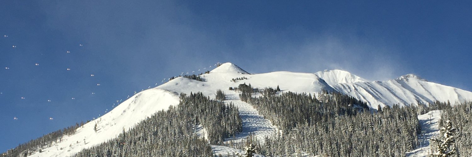 The Salty Warrior banner