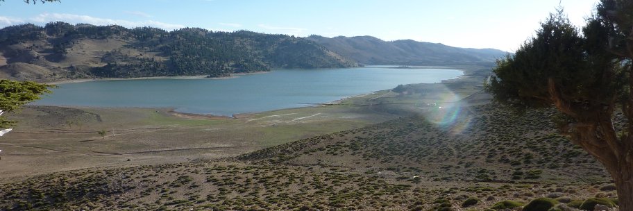 Benjamin Bell banner