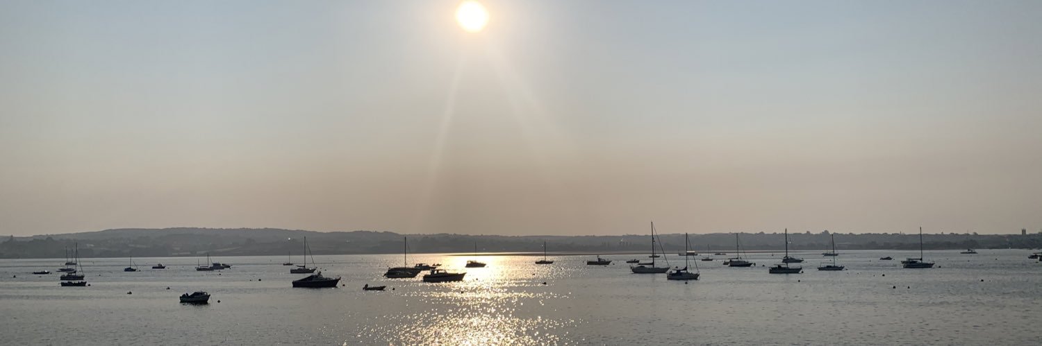 Ana The Guard banner