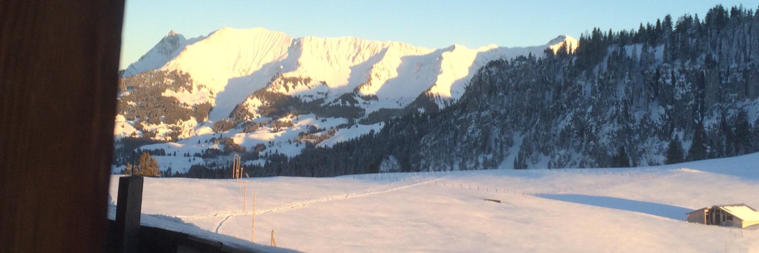 antje_ha's profile banner image