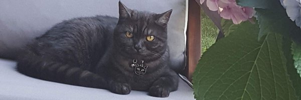 kadertahmaz Profile Banner