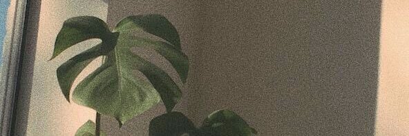 ridhascl's profile banner image