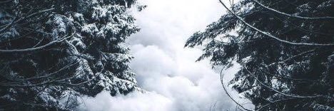jademlc's profile banner image