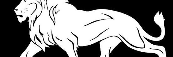 mbilalrao788's profile banner image