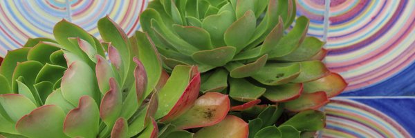 csbenespanol Profile Banner