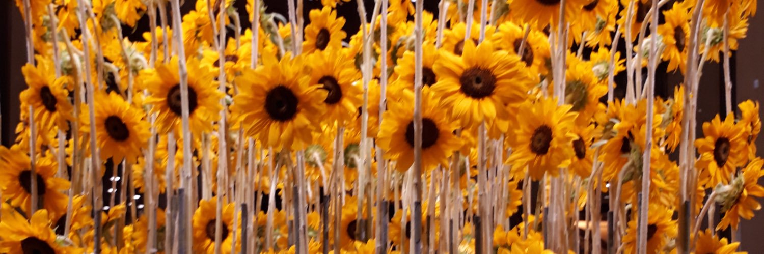 junhokubon's profile banner image