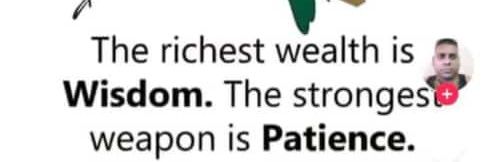 Vétérinaire banner