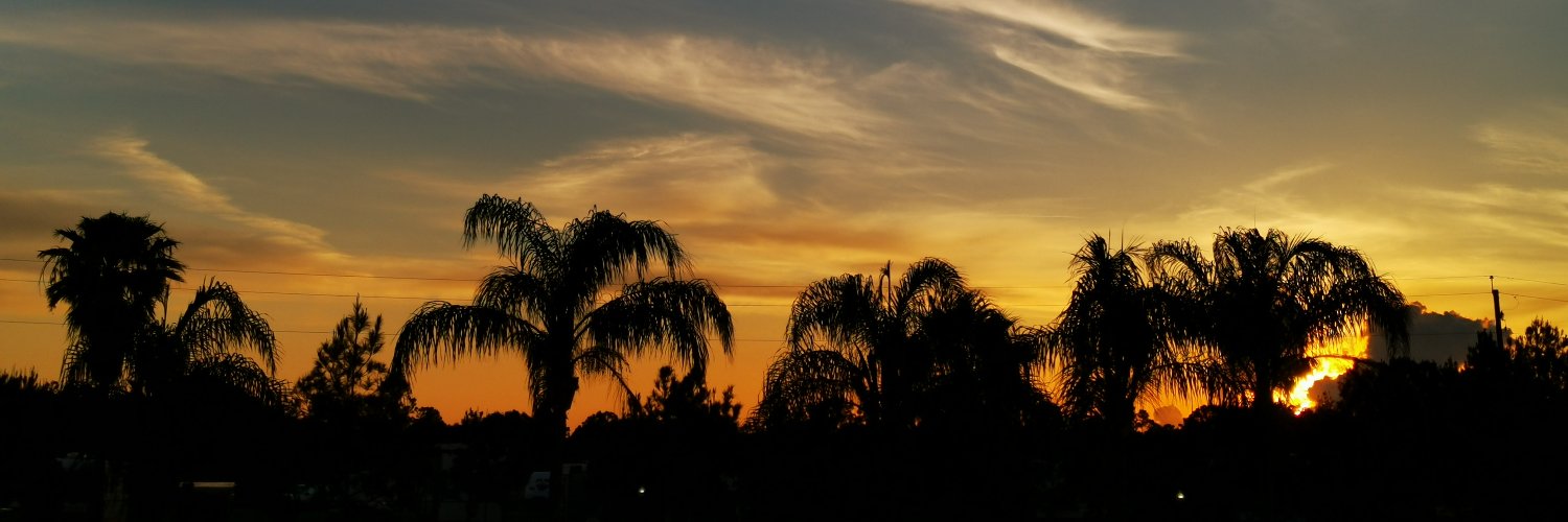 mymryk's profile banner image