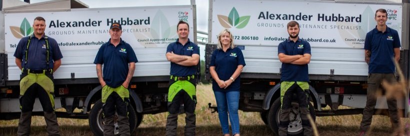 Alexander Hubbard Ltd (@treeworkgrimsby) / Posts / X