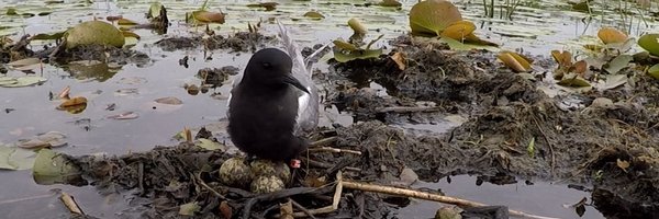 davemoore1313 Profile Banner