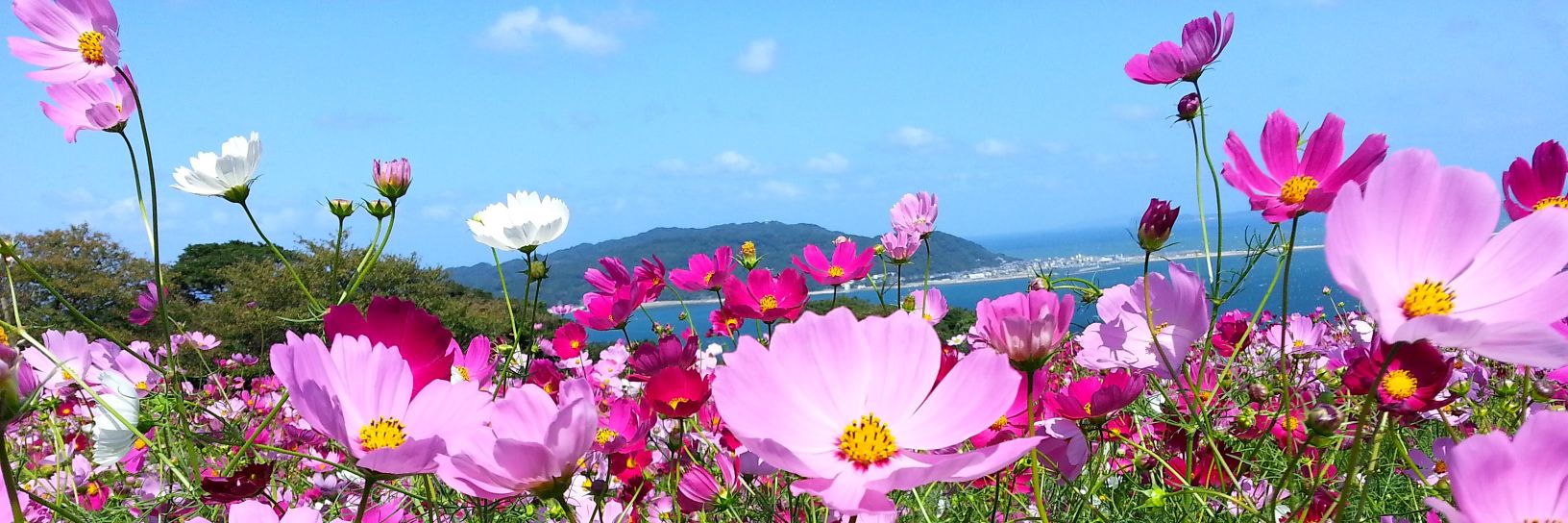 yuchurum's profile banner image