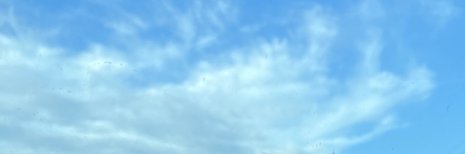 Shrill banner